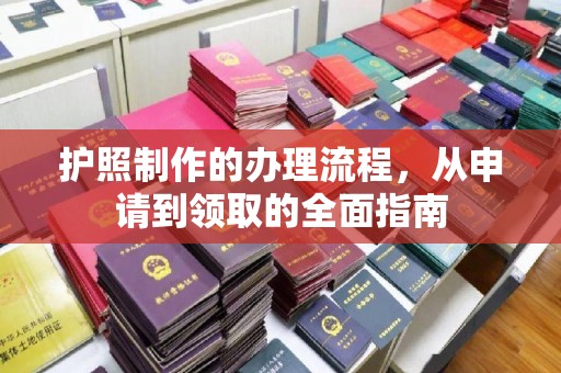 内乡护照制作的办理流程，从申请到领取的全面指南