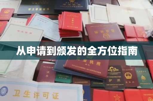 内乡从申请到颁发的全方位指南