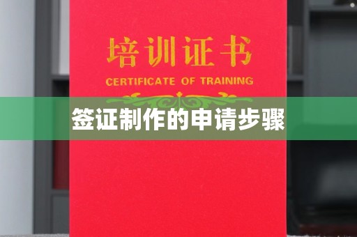 内乡签证制作的申请步骤