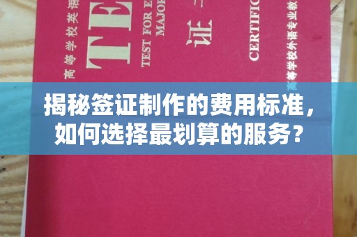 内乡揭秘签证制作的费用标准，如何选择最划算的服务？