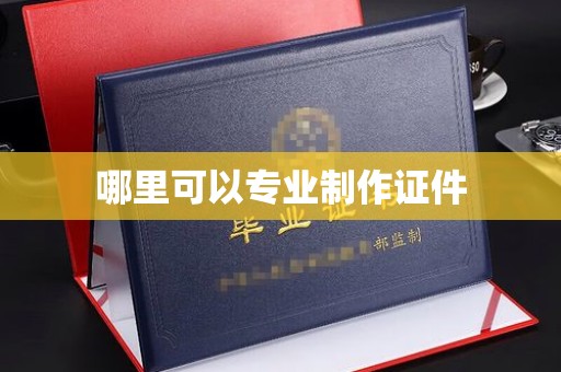 内乡哪里可以专业制作证件