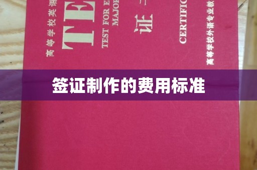 内乡签证制作的费用标准