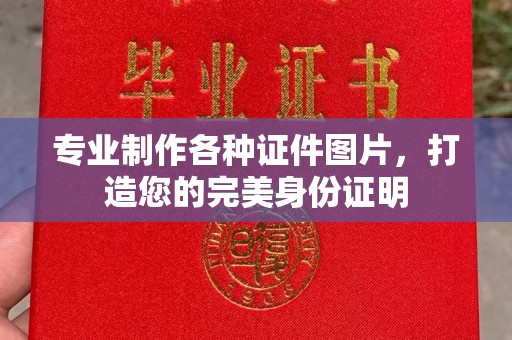 内乡专业制作各种证件图片，打造您的完美身份证明