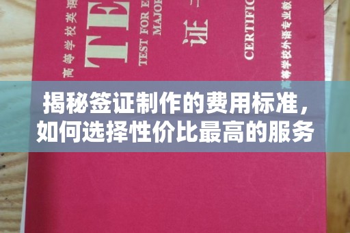 内乡揭秘签证制作的费用标准，如何选择性价比最高的服务？