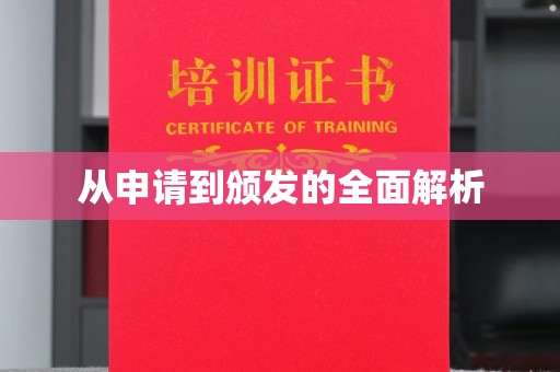 内乡从申请到颁发的全面解析