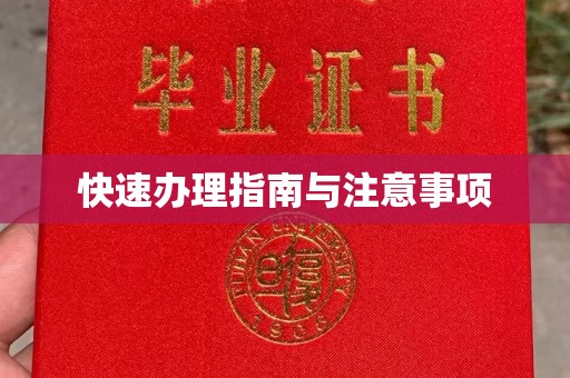 内乡快速办理指南与注意事项