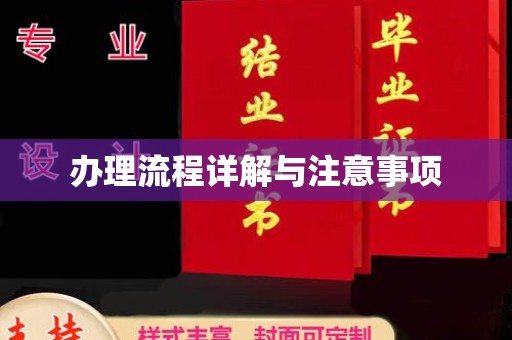 内乡办理流程详解与注意事项