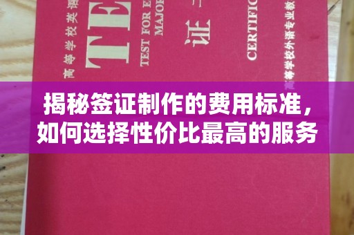 内乡揭秘签证制作的费用标准，如何选择性价比最高的服务？